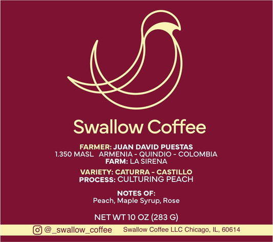 Colombia Caturra-Castillo Culturing Peach