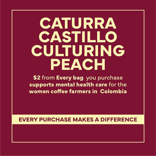 Colombia Caturra-Castillo Culturing Peach