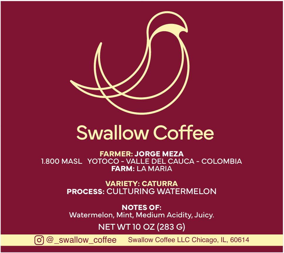 Colombia Caturra Culturing Watermelon