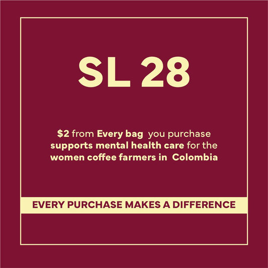 Colombia SL28 Washed