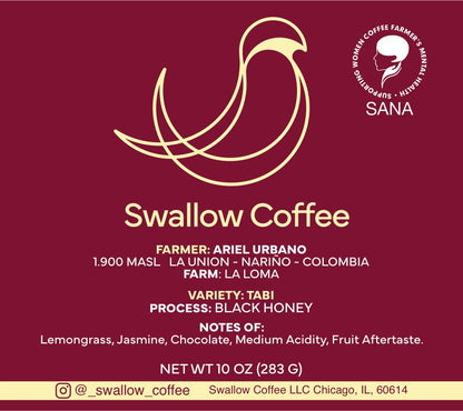 NEW Colombia Tabi Black Honey